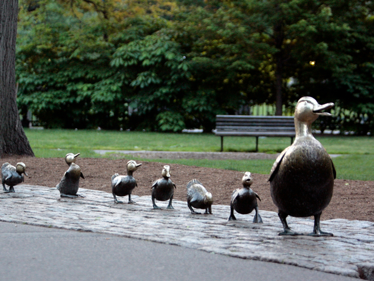 2022 plans: Time to have your ducks in a row