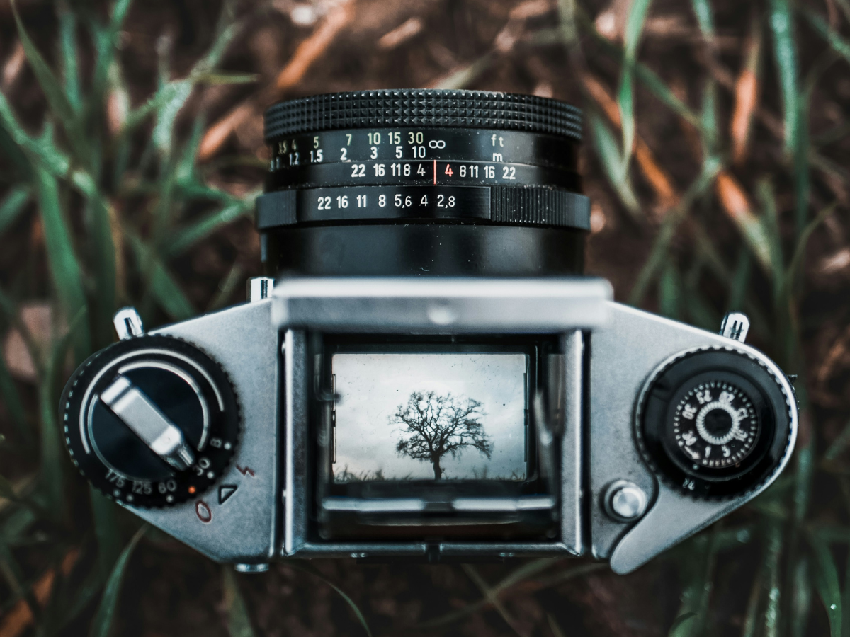 Succession Through a Shared Lens: What Families Are Telling Us