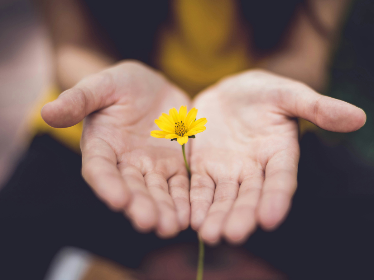 Holding the Centre: Why Governance Gives Families Room to Grow